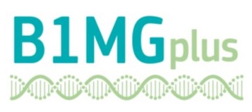 logo%201%2BMG(1).png